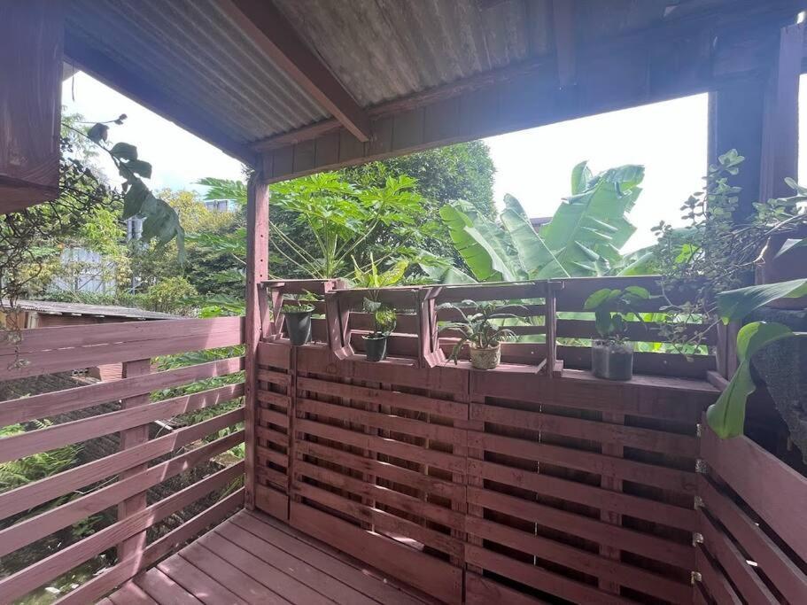 Hostel Pantanal Em Florianópolis מראה חיצוני תמונה